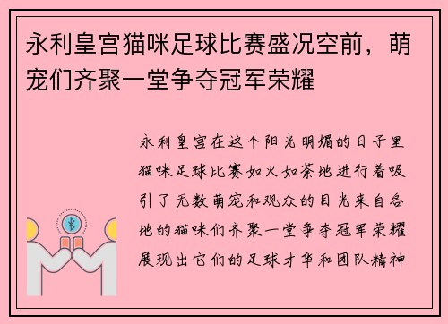 永利皇宫猫咪足球比赛盛况空前，萌宠们齐聚一堂争夺冠军荣耀